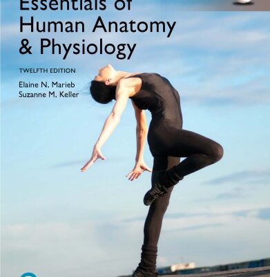 خرید و دانلود نسخه کامل کتاب Essentials of Human Anatomy & Physiology, Global Edition (12th Edition) – Orginal Pdf