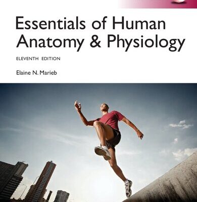 خرید و دانلود نسخه کامل کتاب Essentials of Human Anatomy & Physiology Global Edition (11th Edition) – Orginal Pdf