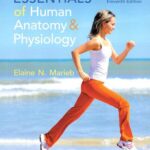 خرید و دانلود نسخه کامل کتاب Essentials of Human Anatomy & Physiology