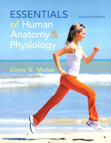 خرید و دانلود نسخه کامل کتاب Essentials of Human Anatomy & Physiology_68b93926eb7a0.jpeg خرید و دانلود نسخه کامل کتاب Essentials of Human Anatomy & Physiology