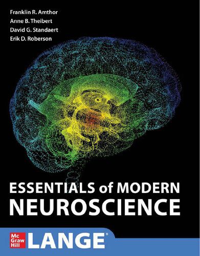 خرید و دانلود نسخه کامل کتاب Essentials of Modern Neuroscience (LANGE)_68bb496abf4f3.jpeg خرید و دانلود نسخه کامل کتاب Essentials of Modern Neuroscience (LANGE)