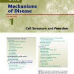 خرید و دانلود نسخه کامل کتاب Essentials of Pathophysiology