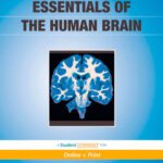خرید و دانلود نسخه کامل کتاب Essentials of the Human Brain