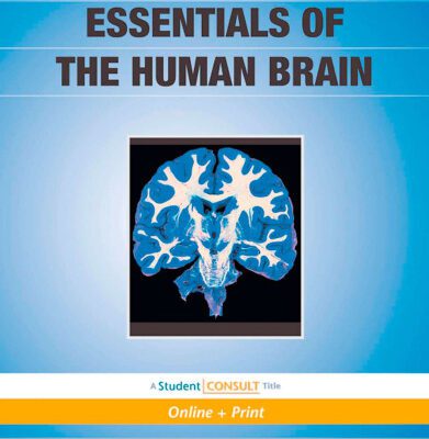 خرید و دانلود نسخه کامل کتاب Essentials of the Human Brain