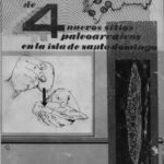 خرید و دانلود نسخه کامل کتاب Estudio de 4 nuevos sitios paleoarcáicos de la isla de Santo Domingo