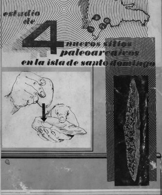 خرید و دانلود نسخه کامل کتاب Estudio de 4 nuevos sitios paleoarcáicos de la isla de Santo Domingo
