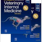 خرید و دانلود نسخه کامل کتاب Ettinger’s Textbook of Veterinary Internal Medicine (9th Edition) –  +  Pdf
