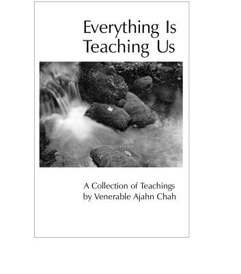 خرید و دانلود نسخه کامل کتاب Everything is Teaching Us: