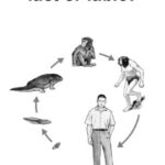 خرید و دانلود نسخه کامل کتاب Evolution – fact or fable