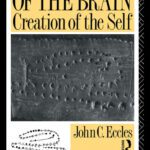 خرید و دانلود نسخه کامل کتاب Evolution of the Brain: Creation of the Self