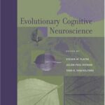 خرید و دانلود نسخه کامل کتاب Evolutionary Cognitive Neuroscience