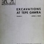 خرید و دانلود نسخه کامل کتاب Excavations at Tepe Gawra