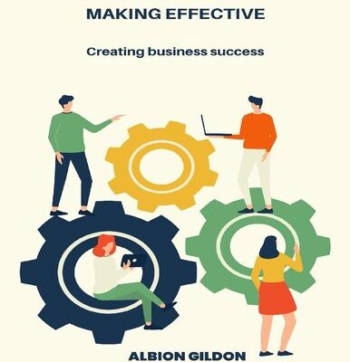خرید و دانلود نسخه کامل کتاب EXCELLENT BUSINESSES MAKING EFFECTIVE: Creating business success