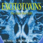 خرید و دانلود نسخه کامل کتاب Excitotoxins  The Taste That Kills
