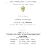 خرید و دانلود نسخه کامل کتاب Existence des ondes progressives dans le cas monostable