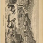 خرید و دانلود نسخه کامل کتاب Fahrten durch Norwegen und die Lappmark