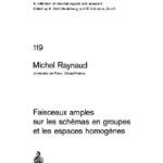 خرید و دانلود نسخه کامل کتاب Faisceaux Amples Sur les Schemas en Groupes et les Escapes Homogenes
