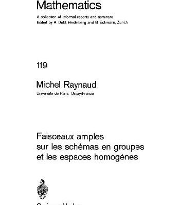 خرید و دانلود نسخه کامل کتاب Faisceaux Amples Sur les Schemas en Groupes et les Escapes Homogenes