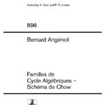خرید و دانلود نسخه کامل کتاب Familles de Cycles Algebriques – Schema de Chow
