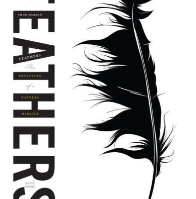 خرید و دانلود نسخه کامل کتاب Feathers: The Evolution of a Natural Miracle