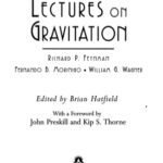 خرید و دانلود نسخه کامل کتاب Feynman Lectures On Gravitation