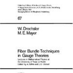 خرید و دانلود نسخه کامل کتاب Fiber bundle techniques in gauge theories