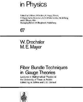 خرید و دانلود نسخه کامل کتاب Fiber bundle techniques in gauge theories