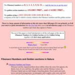 خرید و دانلود نسخه کامل کتاب Fibonacci Numbers, the Golden section and the Golden String