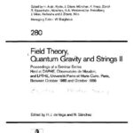 خرید و دانلود نسخه کامل کتاب Field theory, quantum gravity and strings II