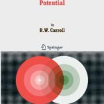 خرید و دانلود نسخه کامل کتاب Fluctuations, Information, Gravity and the Quantum Potential by R. W. Carroll