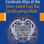 خرید و دانلود نسخه کامل کتاب Forebrain Atlas of the Short-tailed Fruit Bat, Carollia perspicillata: Prepared by the Methods of Nissl and NeuN Immunohistochemistry – Original PDF