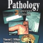 خرید و دانلود نسخه کامل کتاب Forensic Pathology