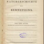 خرید و دانلود نسخه کامل کتاب Fragmente zur Naturgeschichte des Bernsteins