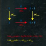خرید و دانلود نسخه کامل کتاب Free Energy Calculations in Rational Drug Design