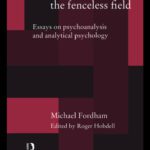 خرید و دانلود نسخه کامل کتاب Freud, Jung, Klein – The Fenceless Field: Essays on Psychoanalysis and Analytical Psychology
