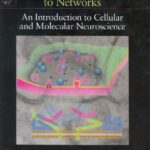خرید و دانلود نسخه کامل کتاب From Molecules to Networks. Introduction to Cellular and Molecular Neuroscience