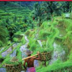 خرید و دانلود نسخه کامل کتاب Frommer’s Bali & Lombok (Frommer’s Complete)
