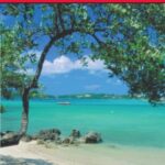 خرید و دانلود نسخه کامل کتاب Frommer’s Bermuda 2011