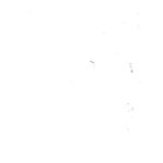 خرید و دانلود نسخه کامل کتاب Functional analysis: an introduction to Banach space theory