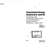 خرید و دانلود نسخه کامل کتاب Functional integration, geometry, and strings