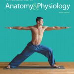 خرید و دانلود نسخه کامل کتاب Fundamentals of Anatomy & Physiology