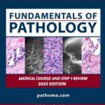 خرید و دانلود نسخه کامل کتاب Fundamentals of Pathology