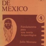 خرید و دانلود نسخه کامل کتاب Fundamentos para una Teoría Arqueológica