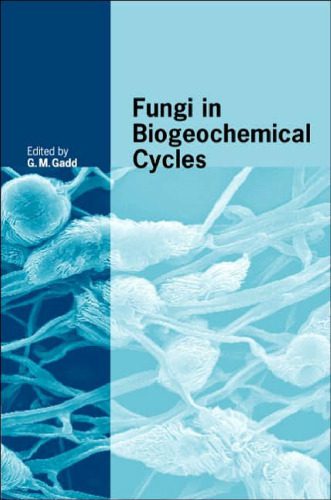 خرید و دانلود نسخه کامل کتاب Fungi in Biogeochemical Cycles (British Mycological Society Symposia)_68d0579da354f.jpeg خرید و دانلود نسخه کامل کتاب Fungi in Biogeochemical Cycles (British Mycological Society Symposia)