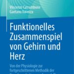 خرید و دانلود نسخه کامل کتاب Funktionelles Zusammenspiel von Gehirn und Herz: Von der Physiologie zur fortgeschrittenen Methodik der Signalverarbeitung und -modellierung