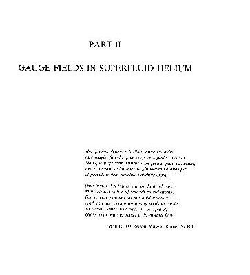 خرید و دانلود نسخه کامل کتاب Gauge Fields in Condensed Matter