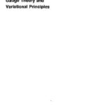 خرید و دانلود نسخه کامل کتاب Gauge theory and variational principles