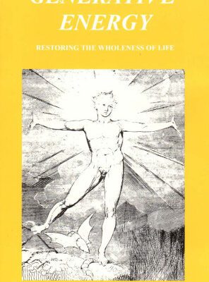 خرید و دانلود نسخه کامل کتاب Generative Energy Restoring The Wholeness Of Life