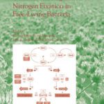 خرید و دانلود نسخه کامل کتاب Genetics and Regulation of Nitrogen Fixation in Free-Living Bacteria (Nitrogen Fixation: Origins, Applications, and Research Progress)