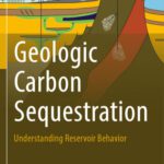 خرید و دانلود نسخه کامل کتاب Geologic Carbon Sequestration: Understanding Reservoir Behavior